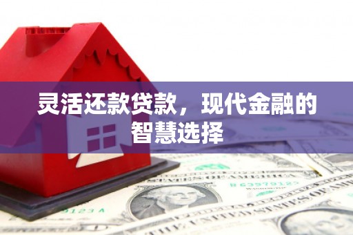 新营灵活还款贷款，现代金融的智慧选择