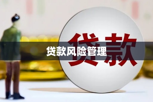 新营贷款风险管理