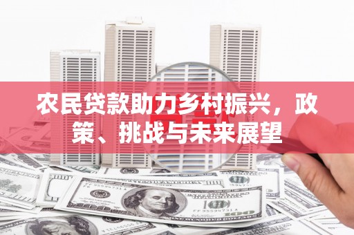 新营农民贷款助力乡村振兴，政策、挑战与未来展望