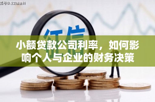 新营小额贷款公司利率，如何影响个人与企业的财务决策