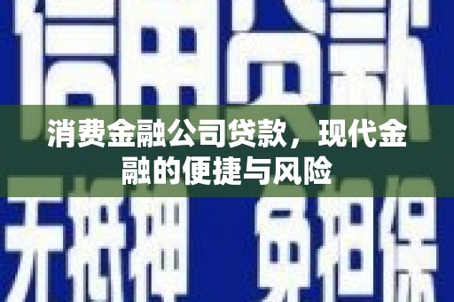 新营消费金融公司贷款，现代金融的便捷与风险