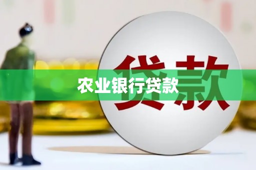 新营农业银行贷款