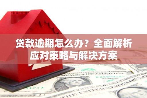 新营贷款逾期怎么办？全面解析应对策略与解决方案