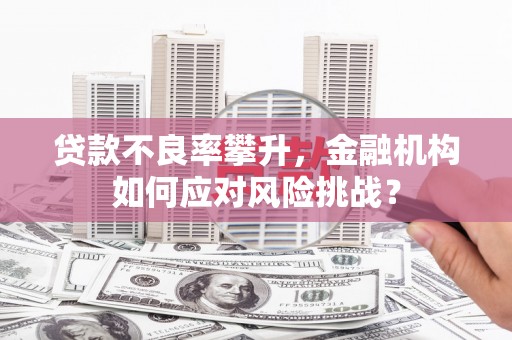 新营贷款不良率攀升，金融机构如何应对风险挑战？