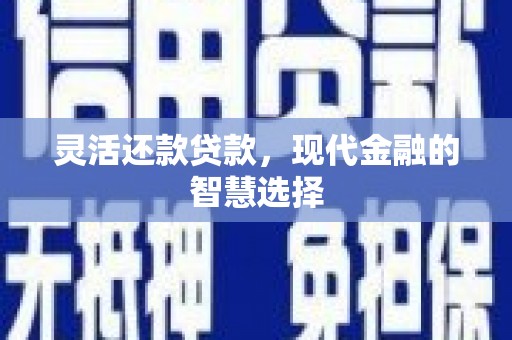 新营灵活还款贷款，现代金融的智慧选择