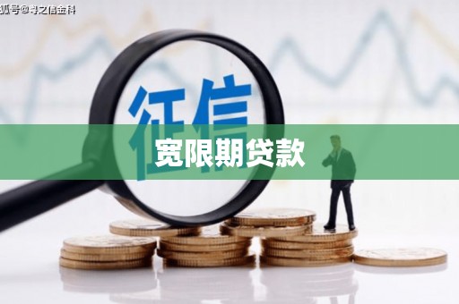 新营宽限期贷款
