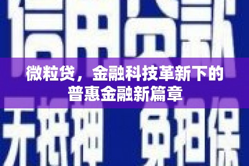 新营微粒贷，金融科技革新下的普惠金融新篇章