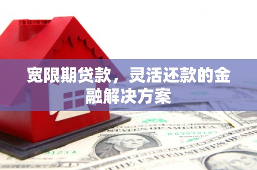 新营宽限期贷款，灵活还款的金融解决方案