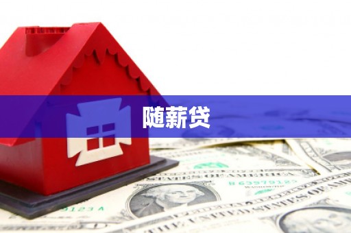 新营随薪贷
