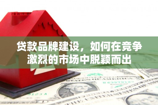 新营贷款品牌建设，如何在竞争激烈的市场中脱颖而出