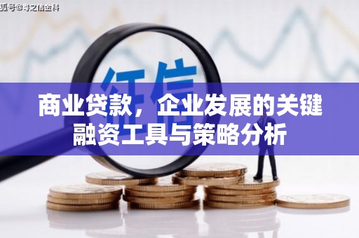 新营商业贷款，企业发展的关键融资工具与策略分析
