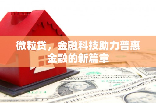 新营微粒贷，金融科技助力普惠金融的新篇章