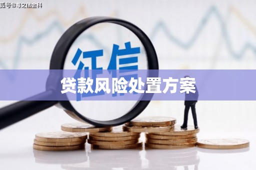 新营贷款风险处置方案