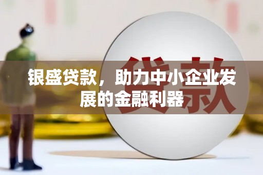 新营银盛贷款，助力中小企业发展的金融利器