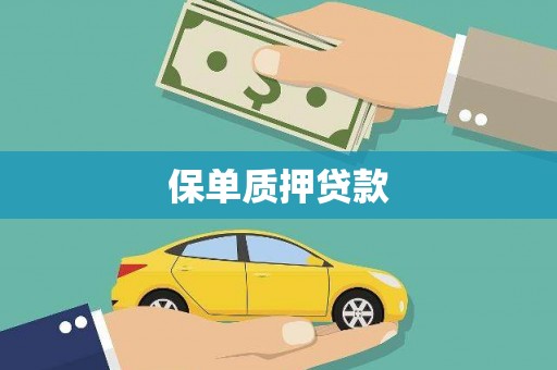 新营保单质押贷款