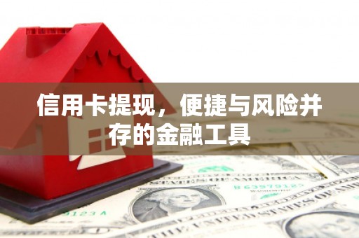新营信用卡提现，便捷与风险并存的金融工具