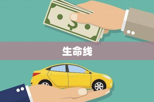新营生命线