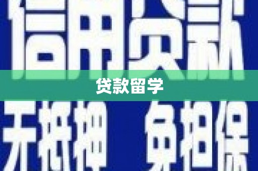 新营贷款留学