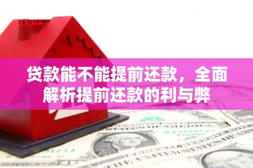 新营贷款能不能提前还款，全面解析提前还款的利与弊