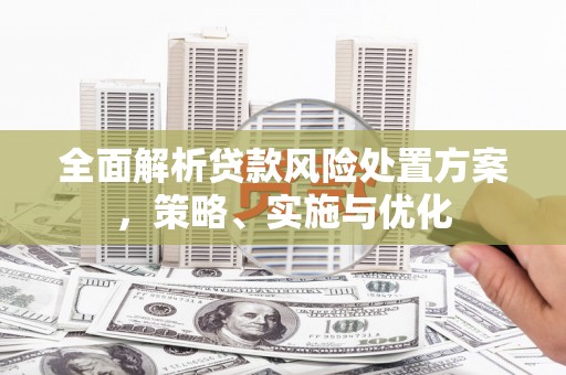 新营全面解析贷款风险处置方案，策略、实施与优化
