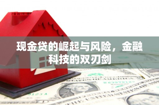 新营现金贷的崛起与风险，金融科技的双刃剑