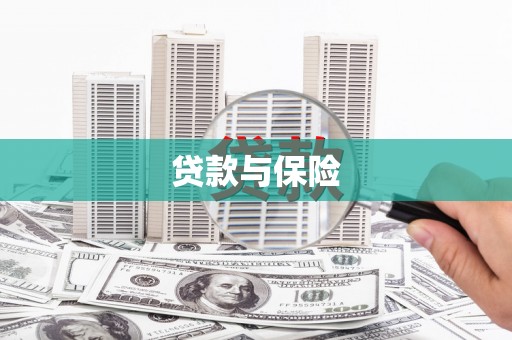 新营贷款与保险