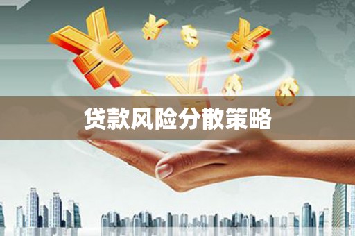 新营贷款风险分散策略