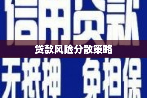 新营贷款风险分散策略