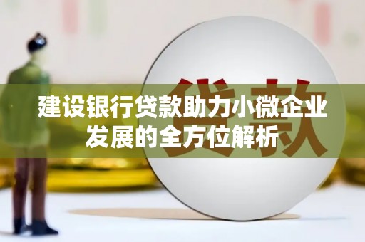 新营建设银行贷款助力小微企业发展的全方位解析