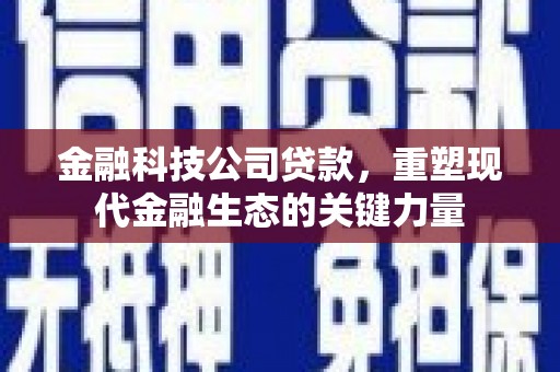新营金融科技公司贷款，重塑现代金融生态的关键力量