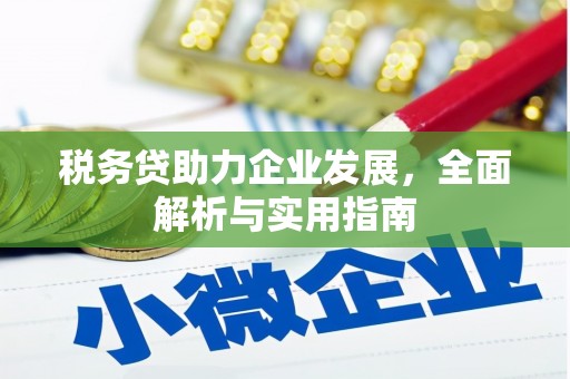 新营税务贷助力企业发展，全面解析与实用指南
