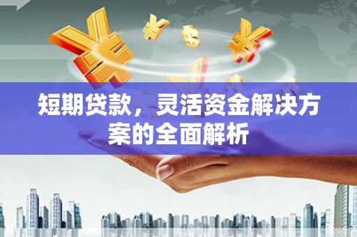 新营短期贷款，灵活资金解决方案的全面解析