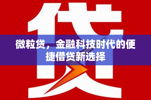 新营微粒贷，金融科技时代的便捷借贷新选择