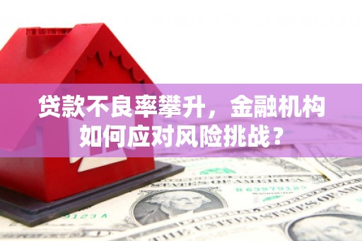 新营贷款不良率攀升，金融机构如何应对风险挑战？