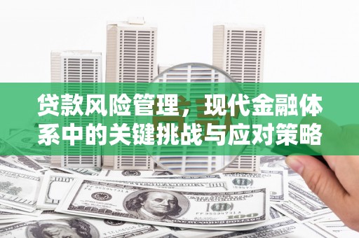 新营贷款风险管理，现代金融体系中的关键挑战与应对策略