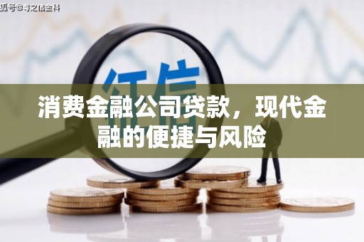 新营消费金融公司贷款，现代金融的便捷与风险