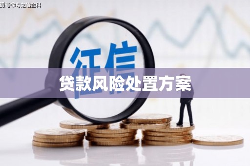 新营贷款风险处置方案