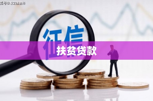 新营扶贫贷款