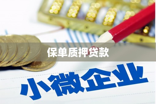 新营保单质押贷款