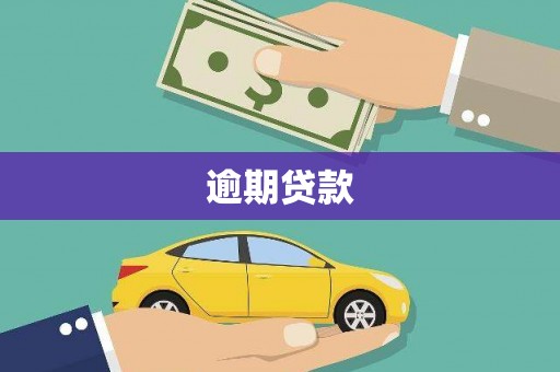 新营逾期贷款