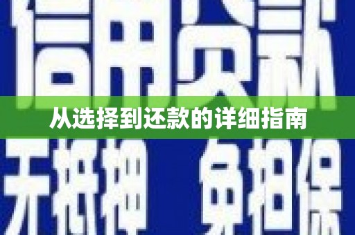 新营从选择到还款的详细指南