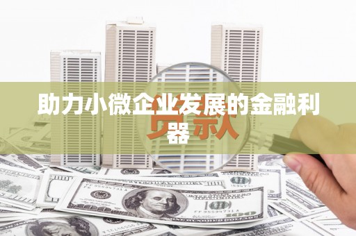 新营助力小微企业发展的金融利器