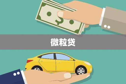 新营微粒贷