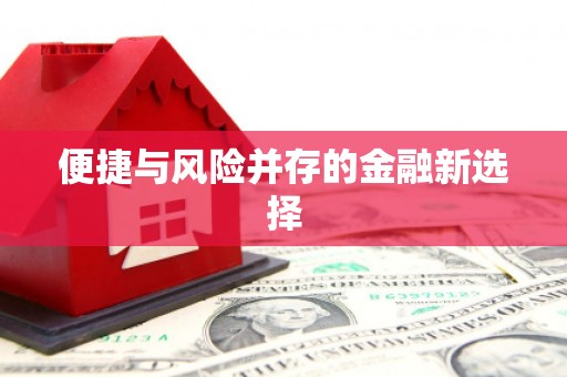新营便捷与风险并存的金融新选择