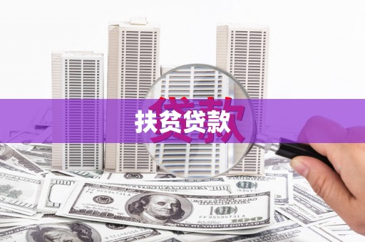 新营扶贫贷款
