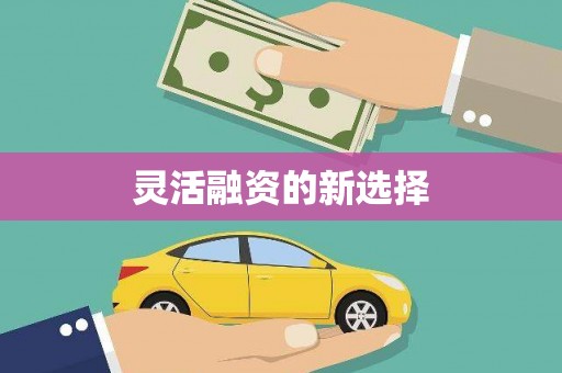 新营灵活融资的新选择