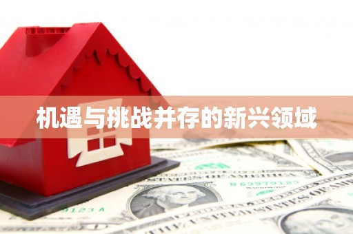 新营机遇与挑战并存的新兴领域
