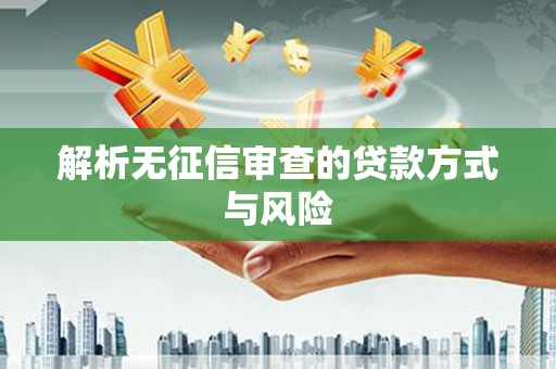 新营解析无征信审查的贷款方式与风险