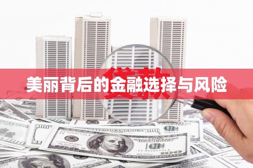 新营美丽背后的金融选择与风险