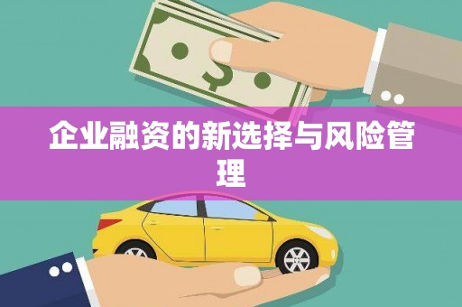 新营企业融资的新选择与风险管理